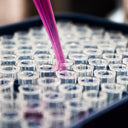 NMN and Egg Quality: What the Reproductive Aging Research Shows