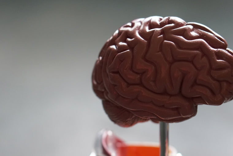 Healthy Aging After 40: The Supplement and Lifestyle Protocol Backed by Science